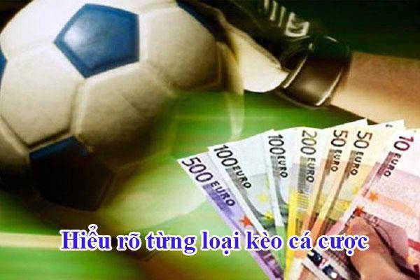 Mẹo Cược Euro Được Bật Mí Từ Các Cao Thủ Bạn Đã Biết Chưa?