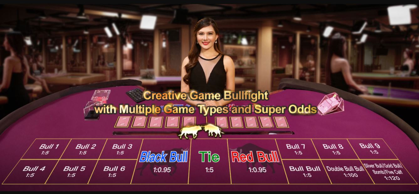Hướng Dẫn Chơi Cá Cược Game Bài Bull Fight Đơn Giản, Hiệu Quả