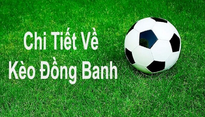 Kèo Đồng Banh Là Gì? Hướng Dẫn Cách Xem Kèo Đồng Banh