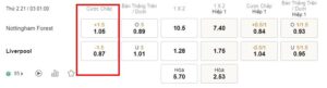 Soi kèo Nottingham Forest vs Liverpool 01h 21/03 - FA