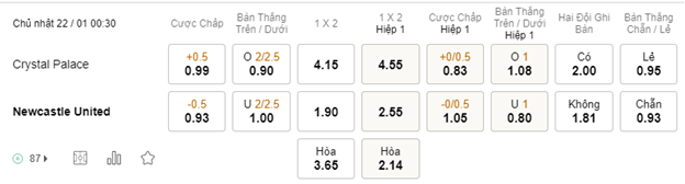 Soi kèo Crystal Palace vs Newcastle 00h30 22/01 - NHA